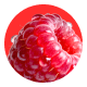 --option--flavor--raspberry-lemon